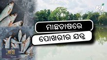 Fish Pond Care: ବିଭିନ୍ନ ଋତୁରେ ମାଛ ପୋଖରୀର ଯତ୍ନ