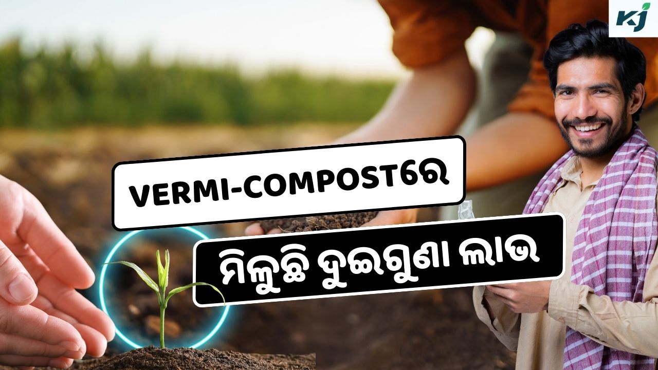 Vermi-compost: ଥରେ ବ୍ୟବହାର କରନ୍ତୁ ଲାଭ ହେବ ଦ୍ଵିଗୁଣ  pic credit @pexel,@canva