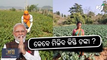Namo Shetkari Yojana: କେବେ ମିଳିବ କିସ୍ତି ଟଙ୍କା ? 