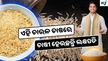 Basmati Rice: ଚାଷ କରନ୍ତୁ ଏହି ଚାଉଳ, କିଲୋ ପ୍ରତି 150 ଟଙ୍କାରେ ହେଉଛି ବିକ୍ରି  Basmati Rice: ଚାଷ କରନ୍ତୁ ଏହି ଚାଉଳ, କିଲୋ ପ୍ରତି 150 ଟଙ୍କାରେ ହେଉଛି ବିକ୍ରି