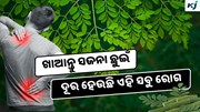 Drumstick: ପ୍ରତିଦିନ ଖାଆନ୍ତୁ ସଜନା ଛୁଇଁ, ମିଳିବ ଅନେକ ଫାଇଦା 