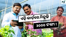 e-Shram Card: ଆବେଦନ କରନ୍ତୁ ଏହି କାର୍ଡ଼, ମିଳୁଛି 3000 ଟଙ୍କା !