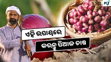 Onion Cultivation: ଜାଣନ୍ତୁ କିପରି କରିବେ ପିଆଜ ଚାଷ ? ମିଳିବ ପ୍ରବଳ ଲାଭ  Onion Cultivation: ଜାଣନ୍ତୁ କିପରି କରିବେ ପିଆଜ ଚାଷ ? ମିଳିବ ପ୍ରବଳ ଲାଭ