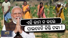 PM Kisan: ଶୀଘ୍ର କରନ୍ତୁ ଏହି କାମ, ନଚେତ ପାଇବେନି କିସ୍ତି ଟଙ୍କା