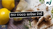 ରସୁଣ ପରେ ଖାଉଟିଙ୍କ ଉପରେ ଅଦା ଦର ପ୍ରଭାବ ରସୁଣ ପରେ ଖାଉଟିଙ୍କ ଉପରେ ଅଦା ଦର ପ୍ରଭାବ