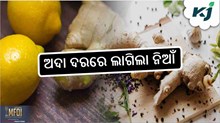 ରସୁଣ ପରେ ଖାଉଟିଙ୍କ ଉପରେ ଅଦା ଦର ପ୍ରଭାବ ରସୁଣ ପରେ ଖାଉଟିଙ୍କ ଉପରେ ଅଦା ଦର ପ୍ରଭାବ