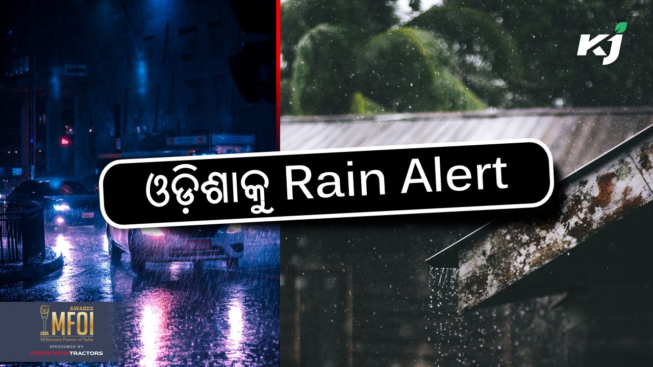 Rainfall alert to 12 district of odisha, image source - pexels.com