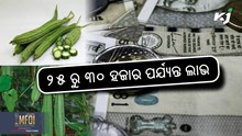 Profitable Farming: ଖରାଟିଆ ଜହ୍ନି ଚାଷକରି କମାନ୍ତୁ ଟଙ୍କା Profitable Farming: ଖରାଟିଆ ଜହ୍ନି ଚାଷକରି କମାନ୍ତୁ ଟଙ୍କା