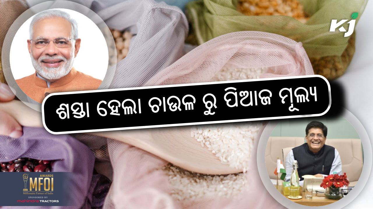 central govt has launched the sale of bharat rice brand, image source - pexels.com