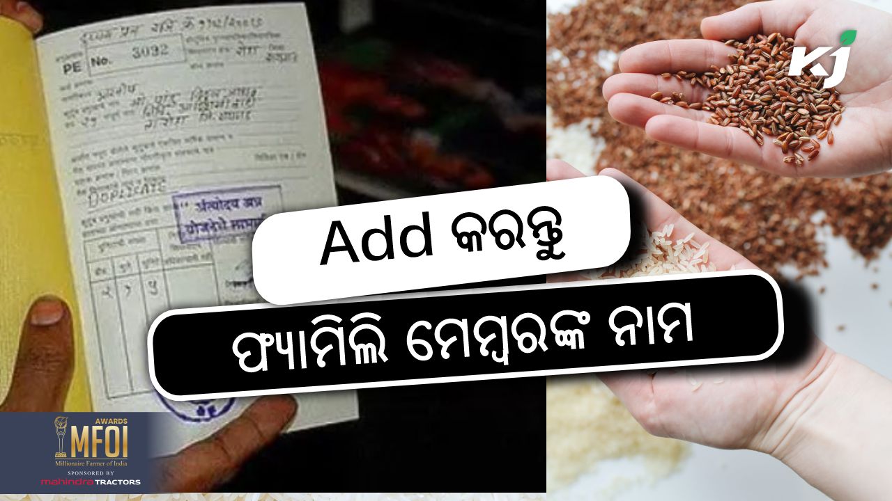 free ration card family member name add online, image source - pexels.com