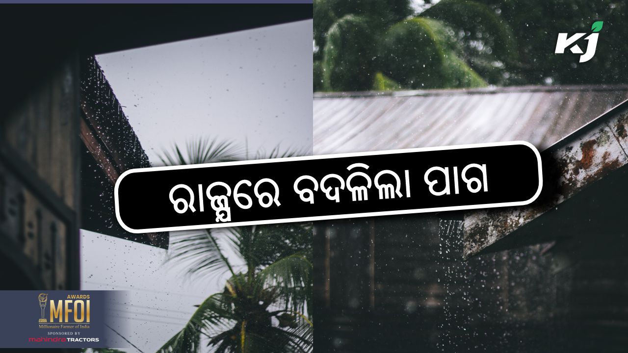 Today rainfall update of odisha , image source - pexels.com