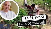 ମୁଖ୍ୟମନ୍ତ୍ରୀଙ୍କ ଘୋଷଣା: କେନ୍ଦୁପତ୍ର ତୋଳାଳିଙ୍କୁ ମିଳିବ ଡବଲ ବୋନସ୍