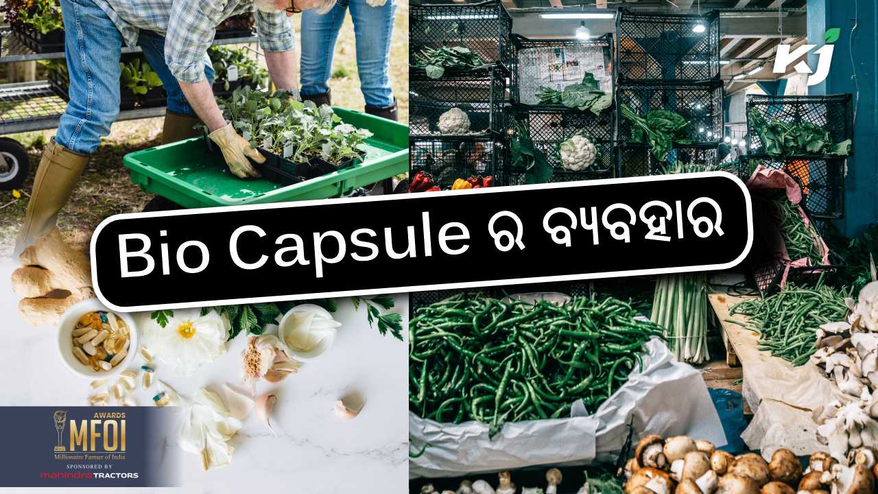 to know about bio capsule, image source - pexels.com