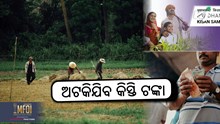 PM Kisan: 5 ଟି ତ୍ରୁଟି,  ଅଟକାଇପାରେ 16 ତମ କିସ୍ତି 