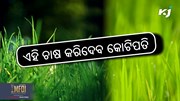 Grass farming: ଏହି ଘାସ ଚାଷ କୃଷକଙ୍କୁ କରିଦେବ କୋଟିପତି Grass farming: ଏହି ଘାସ ଚାଷ କୃଷକଙ୍କୁ କରିଦେବ କୋଟିପତି