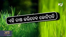 Grass farming: ଏହି ଘାସ ଚାଷ କୃଷକଙ୍କୁ କରିଦେବ କୋଟିପତି Grass farming: ଏହି ଘାସ ଚାଷ କୃଷକଙ୍କୁ କରିଦେବ କୋଟିପତି