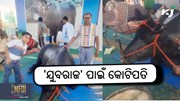 Buffalo Yuvraj: ମାଲିକଙ୍କୁ ଦେଉଛି ୧କୋଟିର ରୋଜଗାର