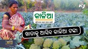 Kalia Scheme: ବଡ ଖବର, ୪୪ ଲକ୍ଷ ଚାଷୀଙ୍କୁ ମିଳିବ