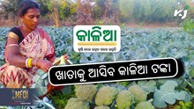 Kalia Scheme: ବଡ ଖବର, ୪୪ ଲକ୍ଷ ଚାଷୀଙ୍କୁ ମିଳିବ