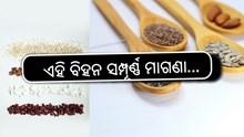 Free Seeds: କେନ୍ଦ୍ର ସରକାର ଦେବେ ଏହି ଜିନିଷ ସମ୍ପୂର୍ଣ୍ଣ ମାଗଣା...
