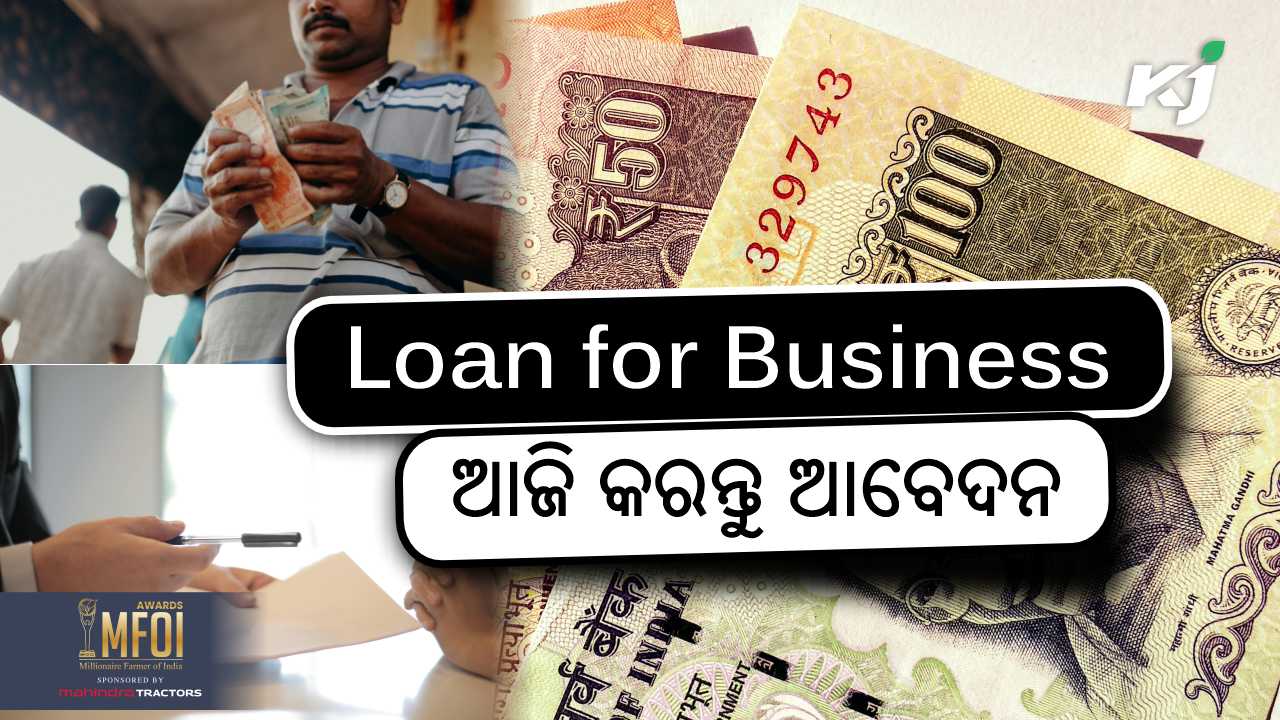 Pmvy modi govt giving 3 lakh loans for businesses, image source - pixeles