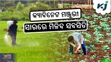 Cabinet Big Decision: ସାର ସବସିଡିକୁ କ୍ୟାବିନେଟ୍ ମଞ୍ଜୁରୀ  Cabinet Big Decision: ସାର ସବସିଡିକୁ କ୍ୟାବିନେଟ୍ ମଞ୍ଜୁରୀ