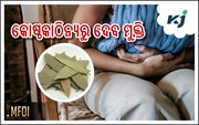 Bay leaves: ବଦହଜମି ଓ  ଏସିଡିଟି ରୋକିବ ଏହି ପତ୍ର 