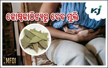 Bay leaves: ବଦହଜମି ଓ  ଏସିଡିଟି ରୋକିବ ଏହି ପତ୍ର 