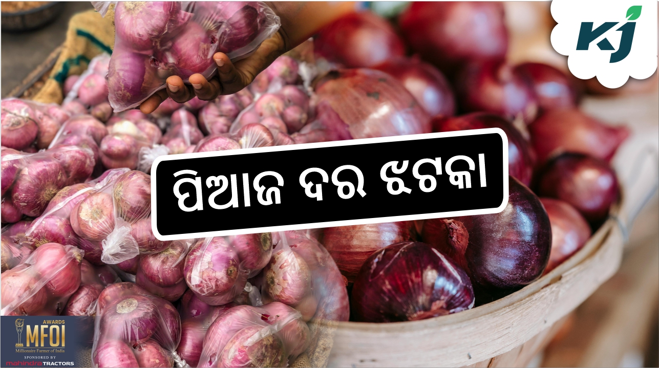 Onion prices may hike again, image source - pixeles