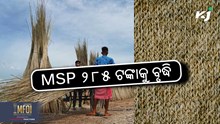 Raw Jute: କଞ୍ଚା ଝୋଟ MSP ୨୮୫ ଟଙ୍କା ବୃଦ୍ଧି  Raw Jute: କଞ୍ଚା ଝୋଟ MSP ୨୮୫ ଟଙ୍କା ବୃଦ୍ଧି