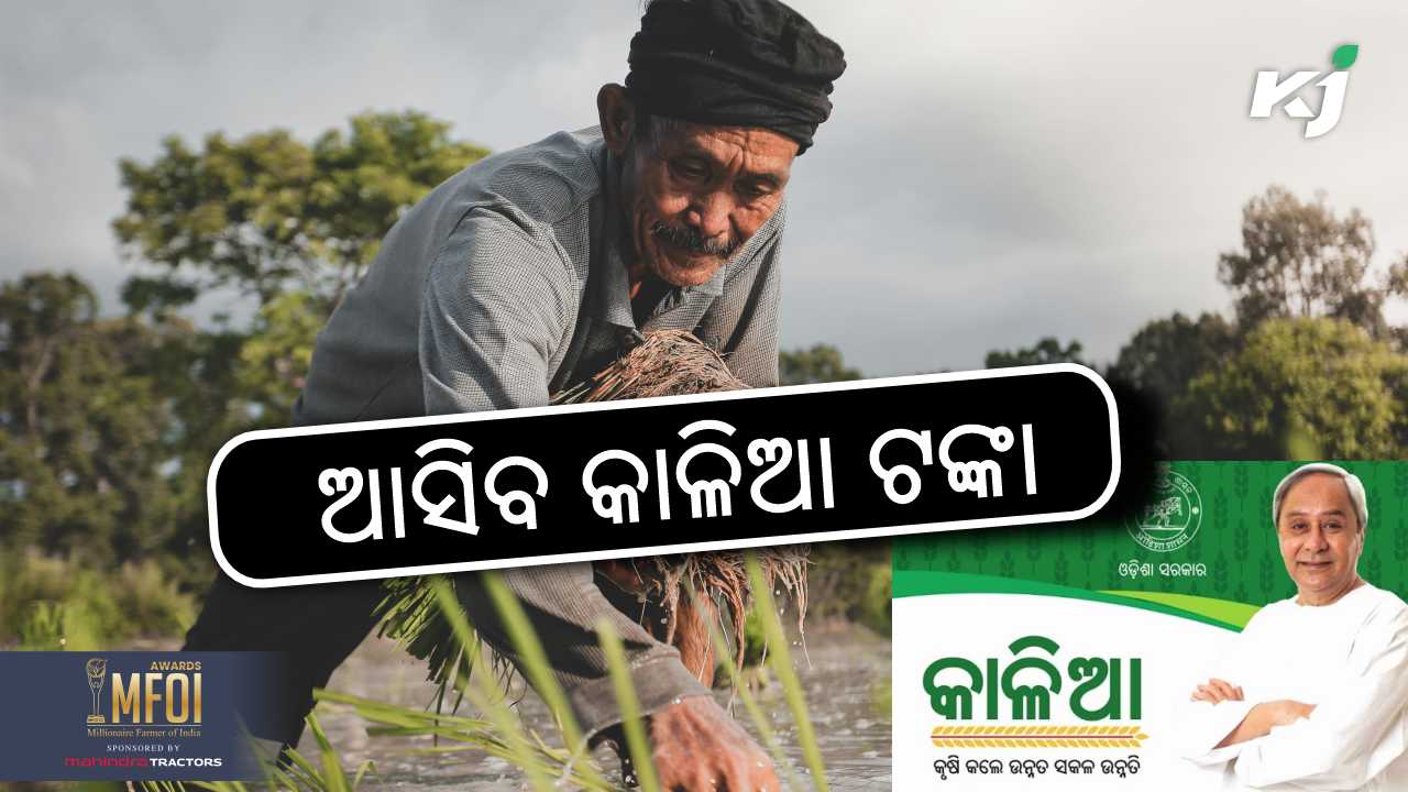 Kalia money to reach farmers accounts today, image source - pixeles