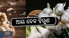 Garlic farming: ଉନ୍ନତ ରସୁଣ ଚାଷ, ଆୟ ଦେବ ଦ୍ଵିଗୁଣ  Garlic farming: ଉନ୍ନତ ରସୁଣ ଚାଷ, ଆୟ ଦେବ ଦ୍ଵିଗୁଣ