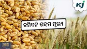 Wheat Price: ଜାଣନ୍ତୁ ଗହମ ଦର, କେଉଁଠି କେତେ ? Wheat Price: ଜାଣନ୍ତୁ ଗହମ ଦର, କେଉଁଠି କେତେ ?