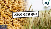 Wheat Price: ଜାଣନ୍ତୁ ଗହମ ଦର, କେଉଁଠି କେତେ ? Wheat Price: ଜାଣନ୍ତୁ ଗହମ ଦର, କେଉଁଠି କେତେ ?