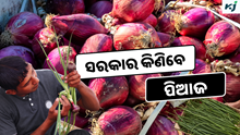 Onion Export: ସରକାର ଏତିକି ଦାମରେ କିଣିବେ ପିଆଜ ?  Onion Export: ସରକାର ଏତିକି ଦାମରେ କିଣିବେ ପିଆଜ ?