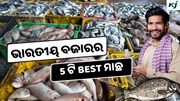  Fish Varieties: ସବୁଠାରୁ ଅଧିକ ବିକ୍ରୀ ହେଉଛି ଏହି 5 ଟି ମାଛ