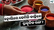 Holi: କେମିତି ବାଛିବେ ପ୍ରାକୃତିକ ହୋଲି ରଙ୍ଗ ? ମିଶୁଛି ଅନେକ ରାସାୟନିକ ପଦାର୍ଥ 