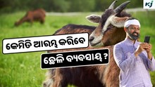 Goat Farming: ଏହି ଉପାୟରେ କରନ୍ତୁ ଛେଳି ଚାଷ, ହେଉଛି ପ୍ରବଳ ଲାଭ  Goat Farming: ଏହି ଉପାୟରେ କରନ୍ତୁ ଛେଳି ଚାଷ, ହେଉଛି ପ୍ରବଳ ଲାଭ