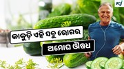 Cucumber: 10 ଟଙ୍କାର କାକୁଡ଼ି ଭଲ କରୁଛି ଅନେକ ରୋଗ 