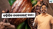 Cocoa: 3 ଗୁଣ ବଢ଼ିବ ଚକୋଲେଟ୍ ଦାମ !