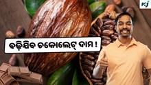 Cocoa: 3 ଗୁଣ ବଢ଼ିବ ଚକୋଲେଟ୍ ଦାମ !