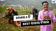 Power tillers: ଦେଶର 5 ଟି Best ପାୱାର ଟିଲର, ହେଉଛି ଅଧିକ ଲାଭ  Power tillers: ଦେଶର 5 ଟି Best ପାୱାର ଟିଲର, ହେଉଛି ଅଧିକ ଲାଭ