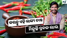 Chilli: ବଜାରରେ ଭଲ ଦାମରେ ବିକ୍ରୀ ହେଉଛି ଏହି ଲଙ୍କା, କରନ୍ତୁ ଚାଷ  Chilli: ବଜାରରେ ଭଲ ଦାମରେ ବିକ୍ରୀ ହେଉଛି ଏହି ଲଙ୍କା, କରନ୍ତୁ ଚାଷ