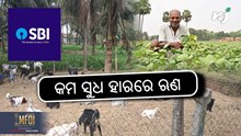 SBI LOAN SCHEME: ଛେଳି ଚାଷପାଇଁ ଦେବ ଲୋନ 