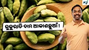 Cardamom: ବଢ଼ିଯିବ ଗୁଜୁରାତି ଦାମ !