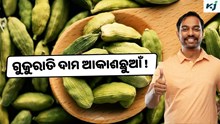 Cardamom: ବଢ଼ିଯିବ ଗୁଜୁରାତି ଦାମ !