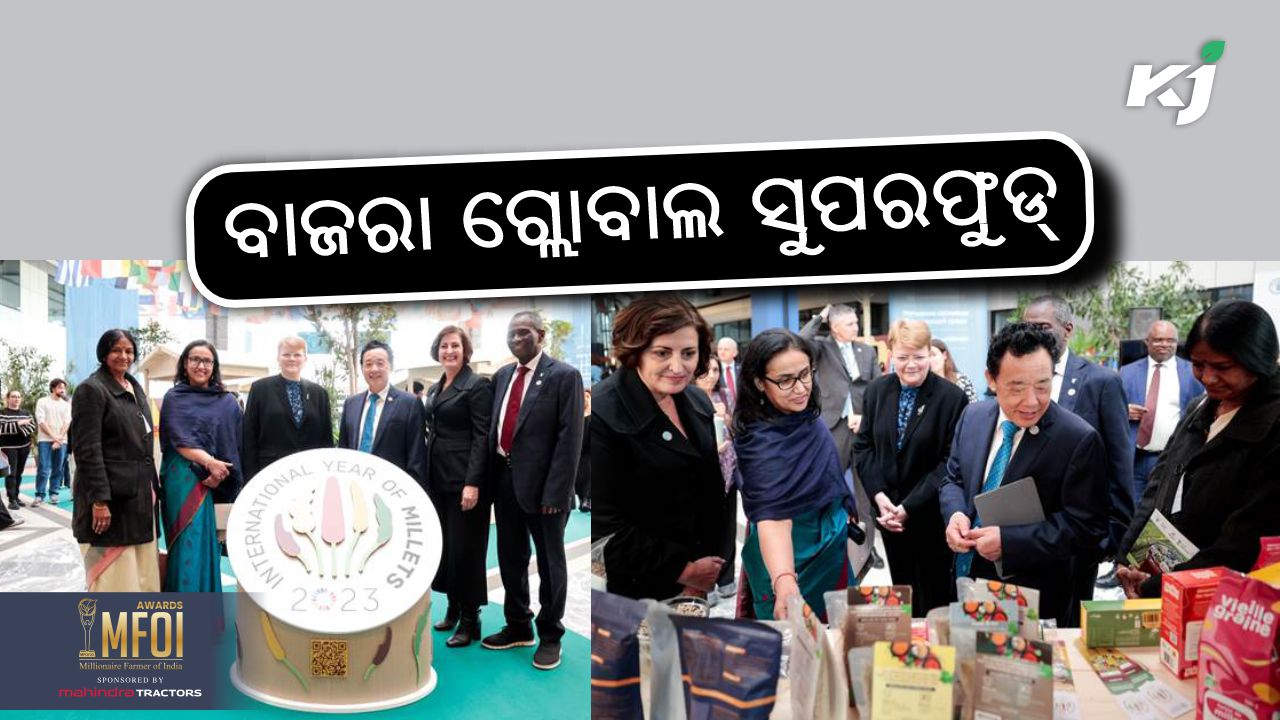 Closing ceremony of the International Year of Millets