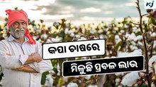 Cotton: ଏମିତି କରନ୍ତୁ କପା ଚାଷ, ମିଳୁଛି ପ୍ରବଳ ଲାଭ  Cotton: ଏମିତି କରନ୍ତୁ କପା ଚାଷ, ମିଳୁଛି ପ୍ରବଳ ଲାଭ