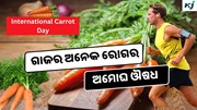 International Carrot Day: ଖାଆନ୍ତୁ ଗାଜର, ଭଲ ହେଉଛି ମଧୁମେହ ସହ ଅନେକ ରୋଗ 