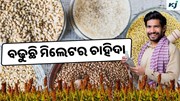 Millets: ଶେଷ ହେବାକୁ ଯାଉଛି ଆନ୍ତର୍ଜାତିକ ମିଲେଟ୍ ବର୍ଷ, କିନ୍ତୁ ବଢୁଛି ମିଲେଟର ଚାହିଦା 